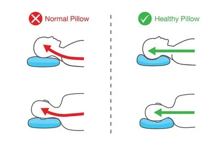 12 CE Hour Myofascial & Neuromuscular Therapy (Computer-Based Live Interactive Webinar)