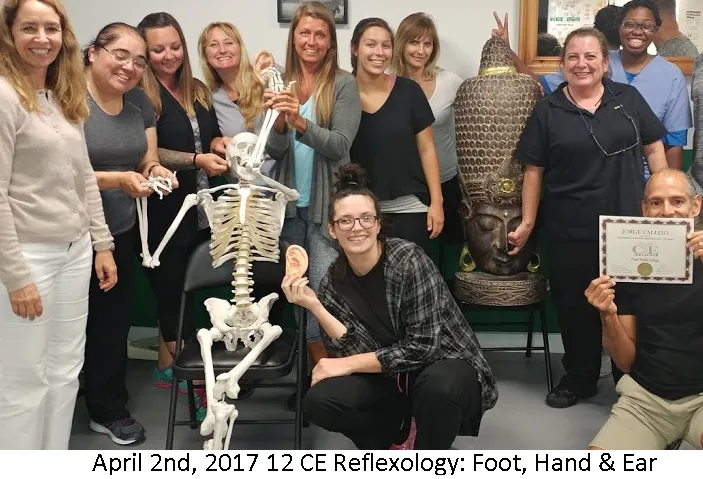 12 CE Hour Reflexology: Foot, Hand & Ear (Computer-based Live Interactive Webinar)