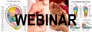 12 CE Hour Reflexology: Foot, Hand & Ear (Computer-based Live Interactive Webinar)