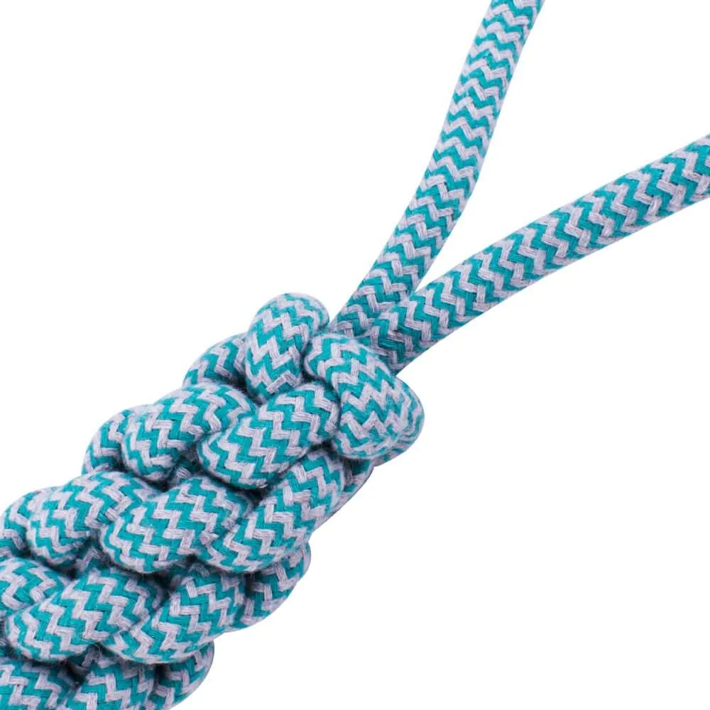 AllPetSolutions Log Rope Dog Toy, Blue