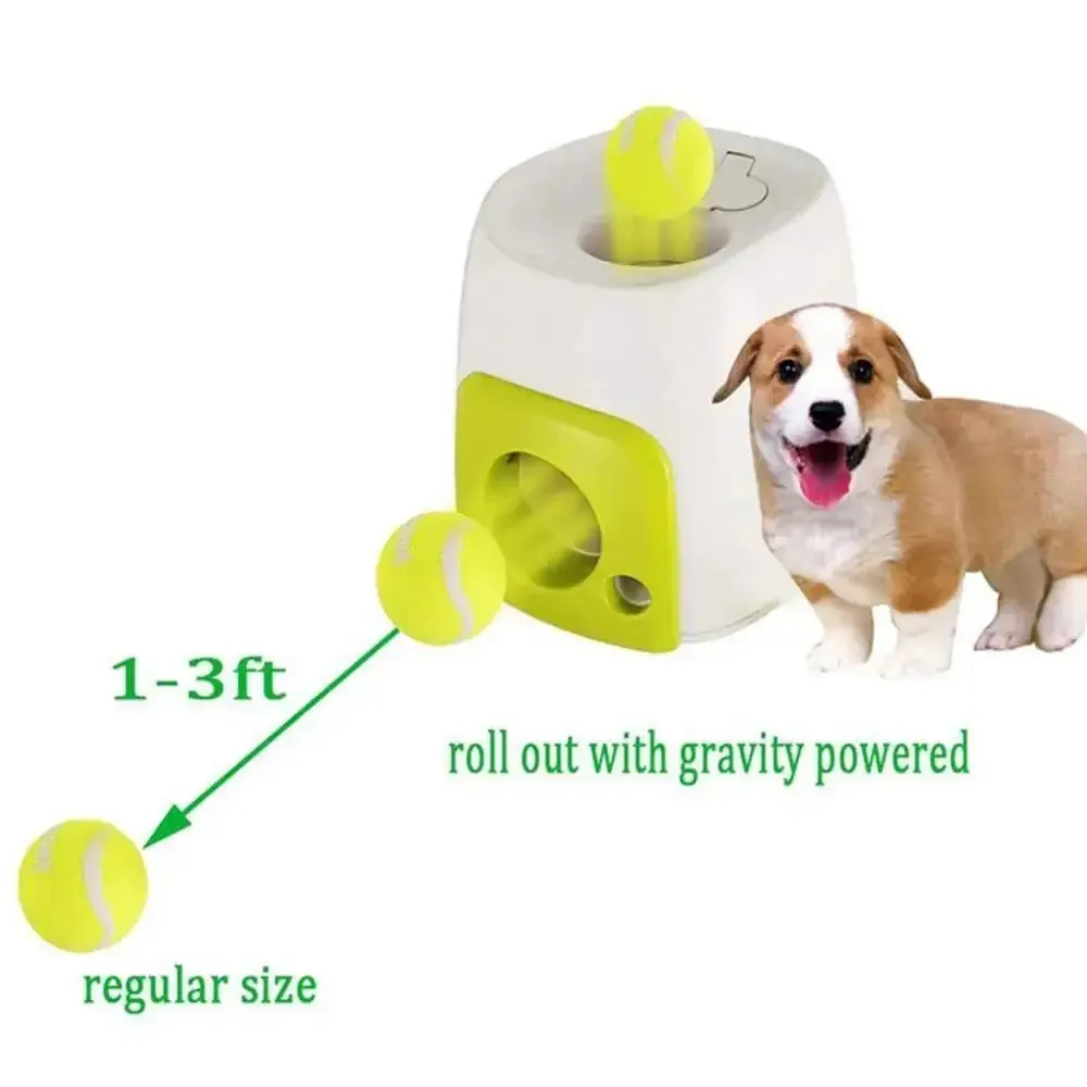 Automatic Interactive Pet Toy