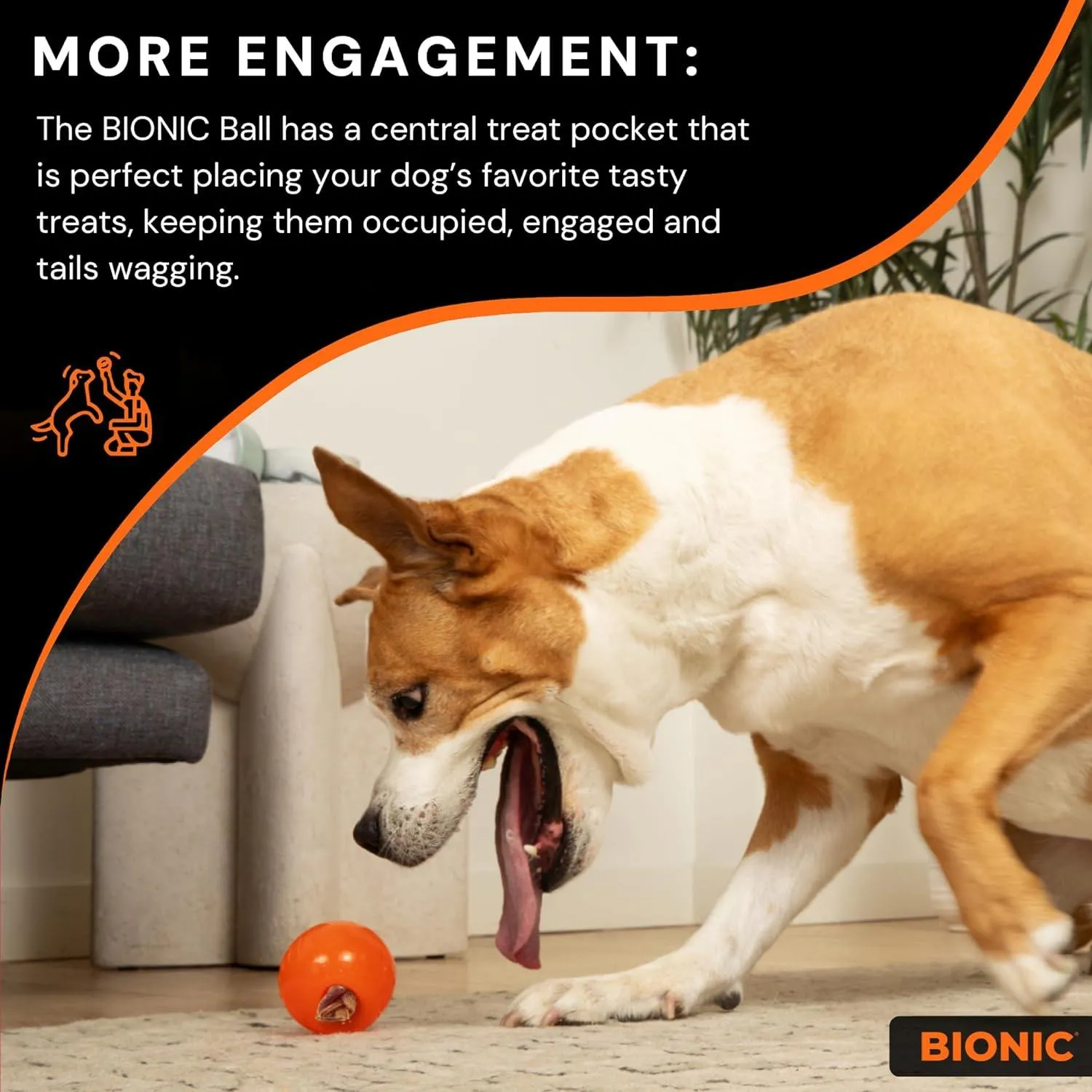 Bionic Rubber Ball Dog Toy