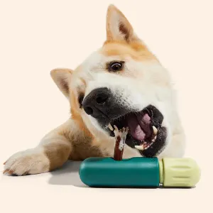 BullySafe Enrichment & Durable Treat Holder Toy for Dogs