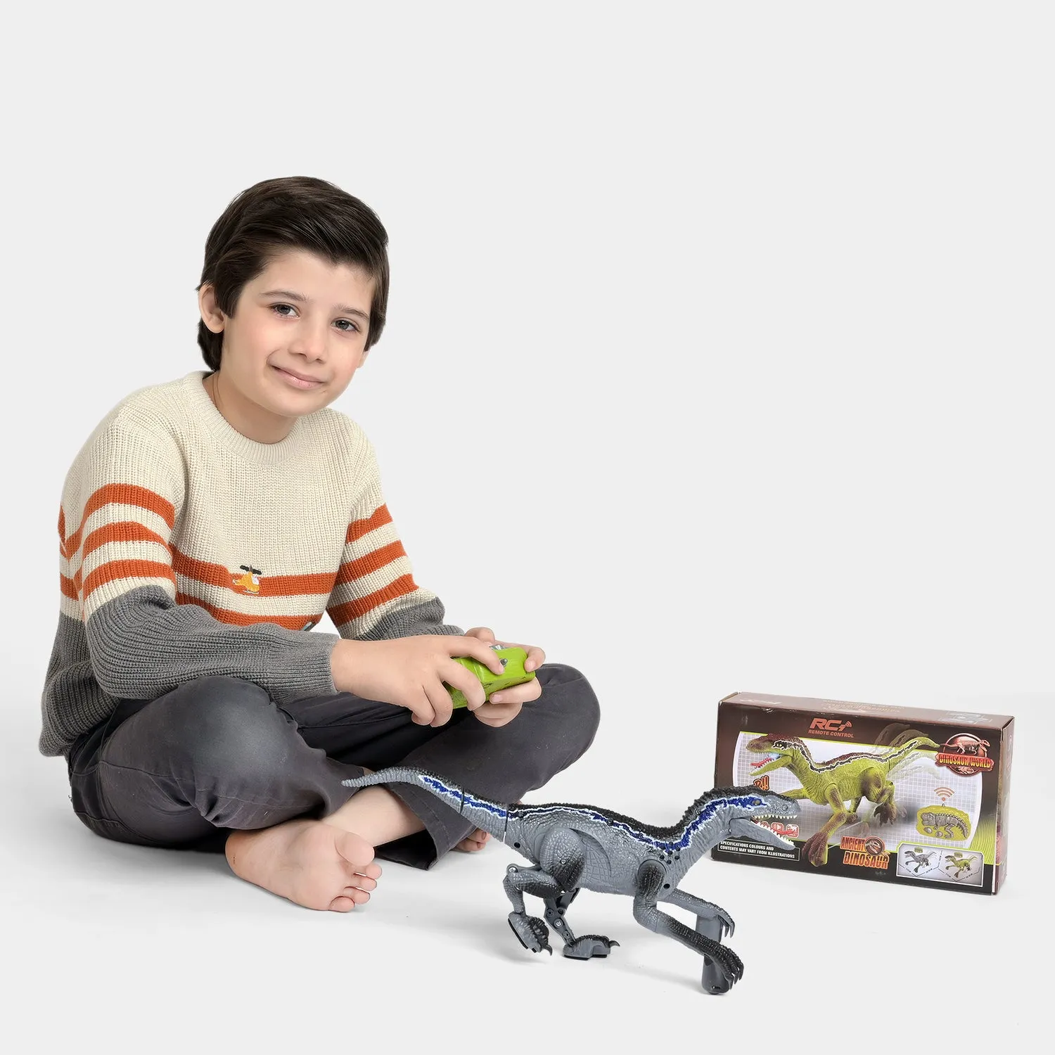 Dinosaur Remote Control Toy For Kids