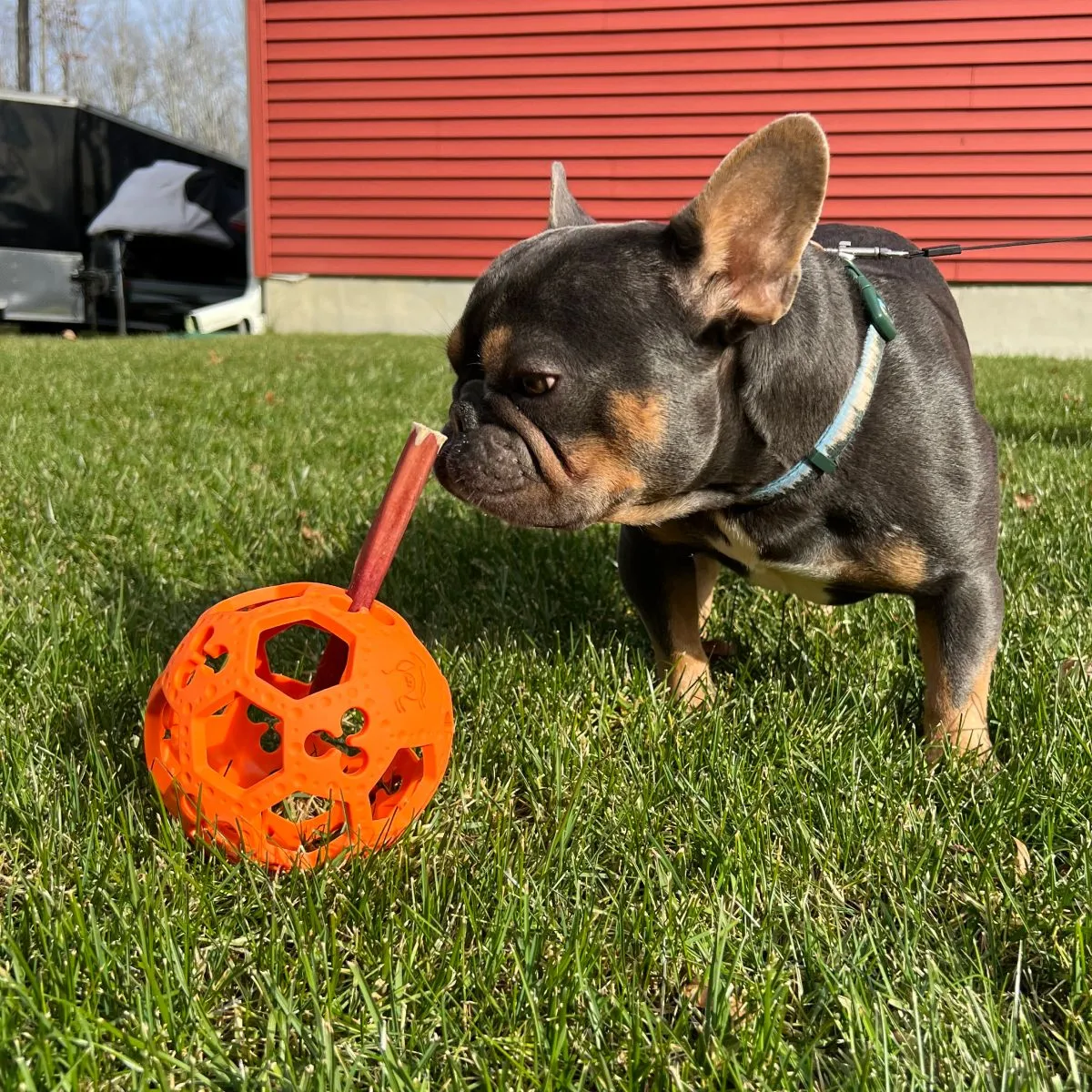 Fetch Dog Toy: Goat Sport Flex-a-Ball