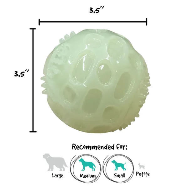 Gnawsome Glow in the Dark Squeaker Ball