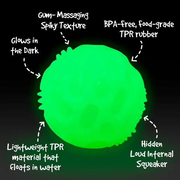 Gnawsome Glow in the Dark Squeaker Ball