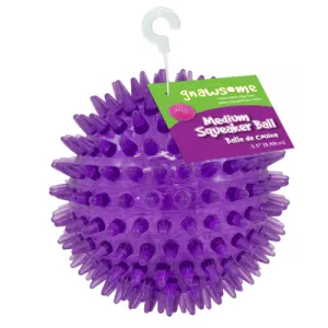 Gnawsome Medium Squeaker Ball