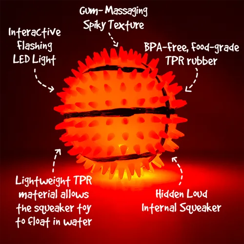 Gnawsome Squeak & Light Basketball