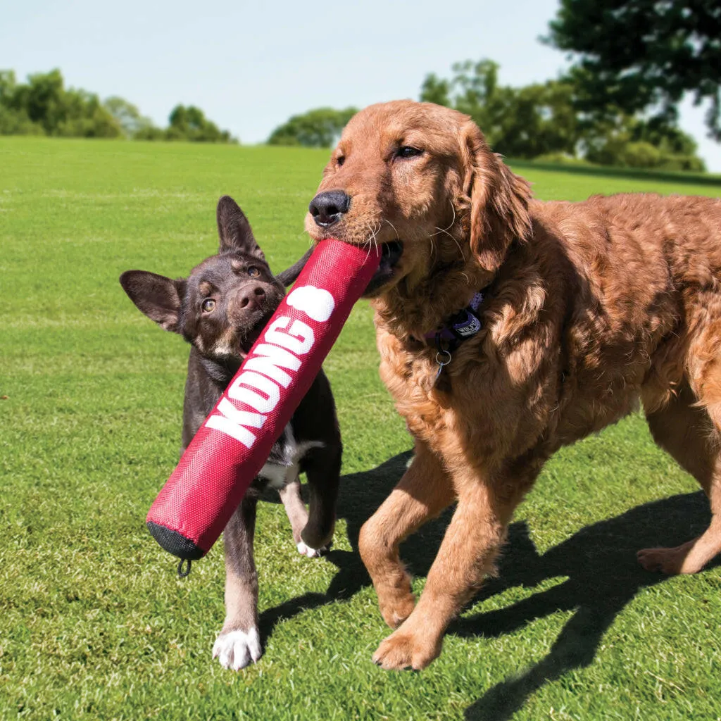 Kong Signature Stick Toy For Dogs