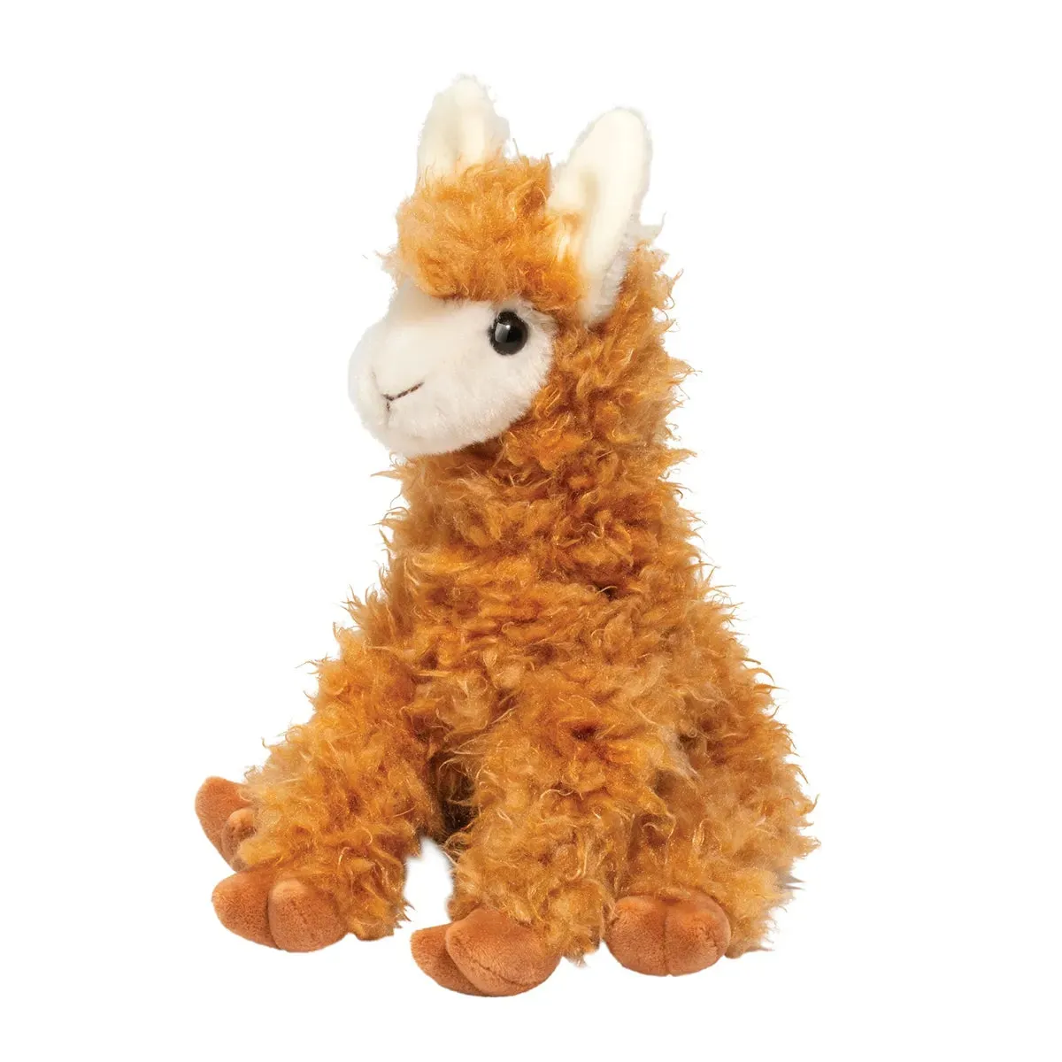 Logan Llama