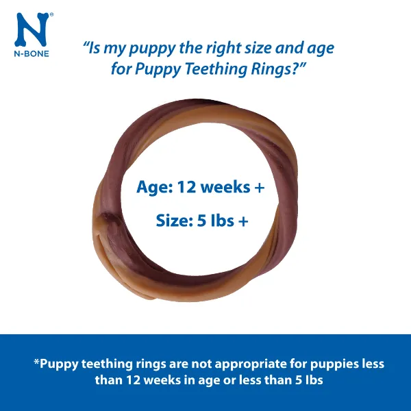 N-Bone Puppy Teething Rings; Pumpkin Flavour