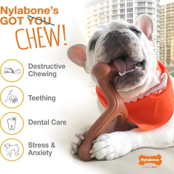 Nylabone Power Chew Ring Dog Chew Toy