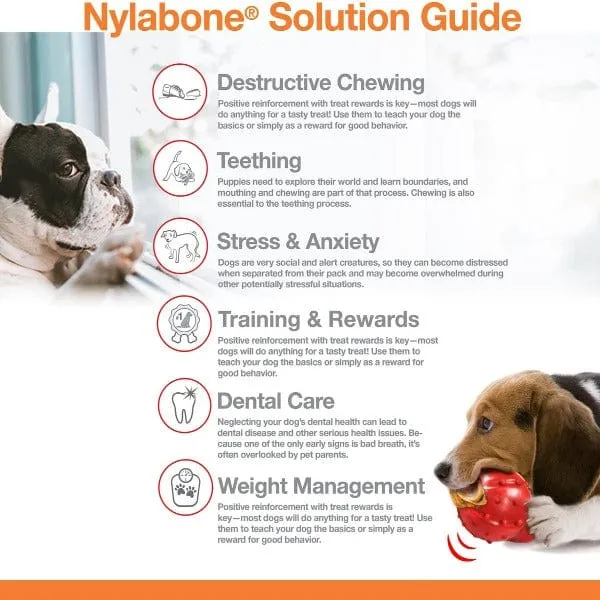 Nylabone Power Chew Ring Dog Chew Toy