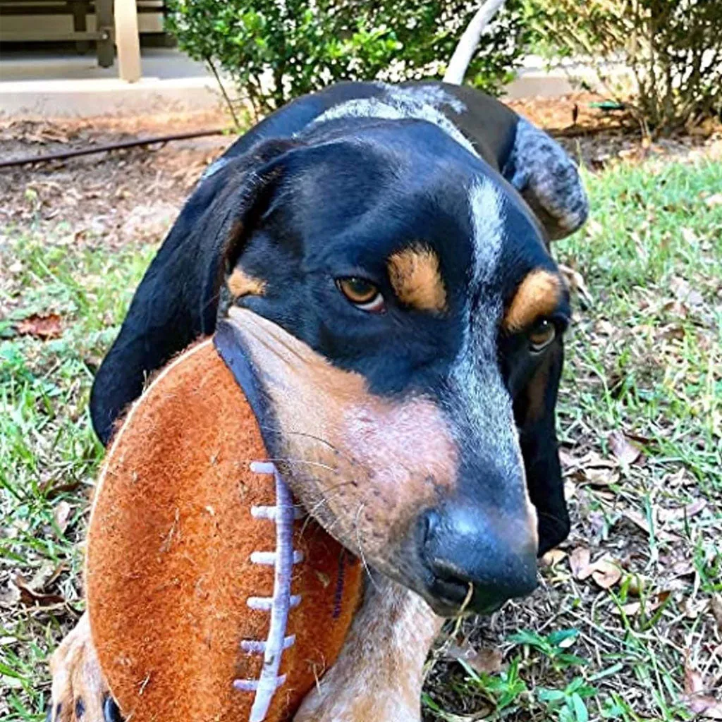 Nylabone Power Play Football Gripz Dog Toy