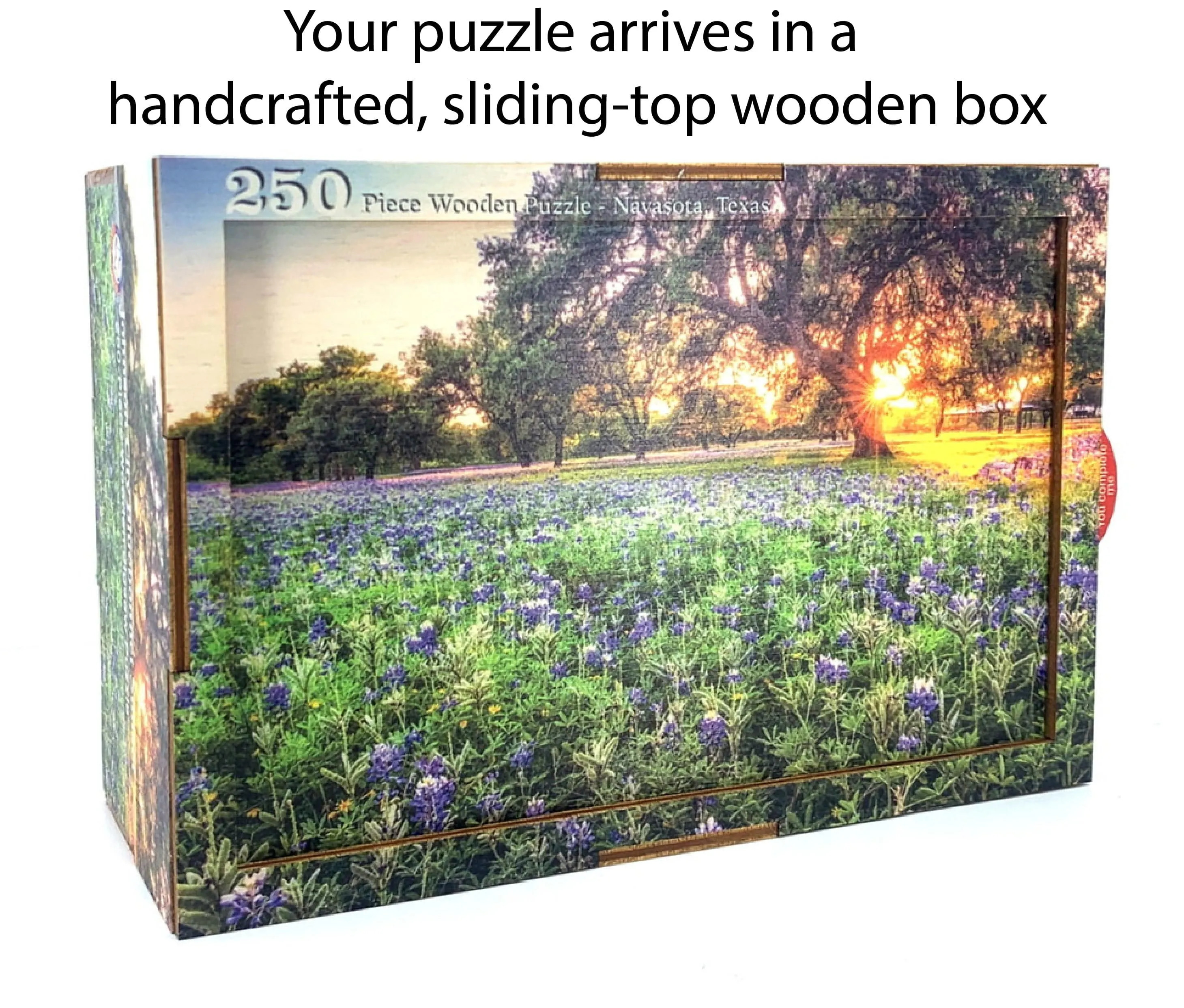 Onion Creek Cypresses | Texas Puzzle | 250, 500, 1000 Pieces