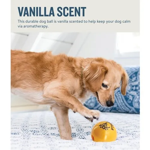 Outward Hound Petstages Orbee-Tuff Essentials Vanilla Treat Dispensing Ball