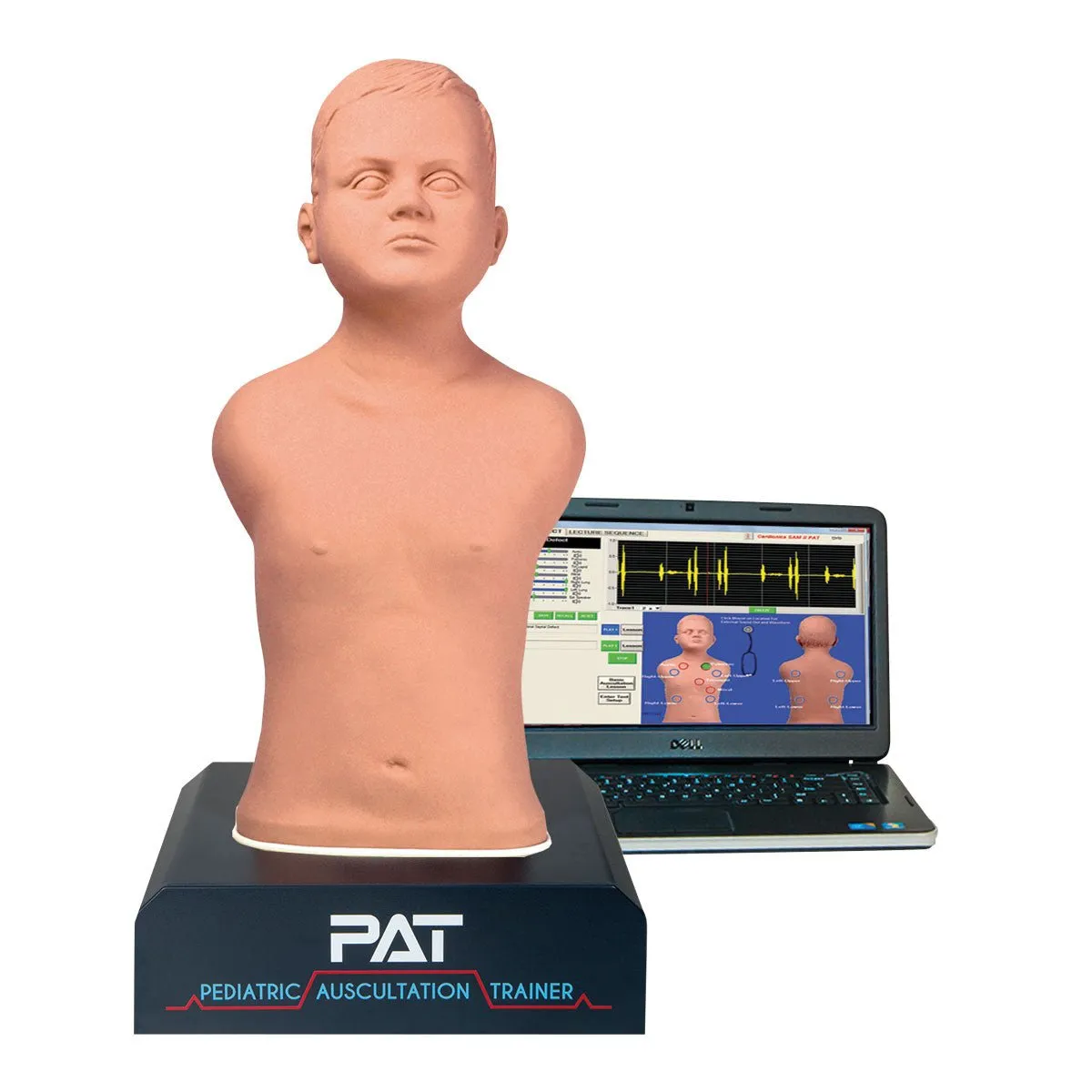 PAT<sup>®</sup> the Pediatric Auscultation Trainer, Light