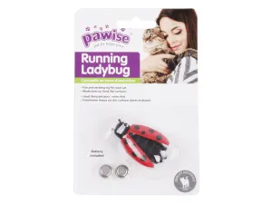 PAWISE  Running Ladybug