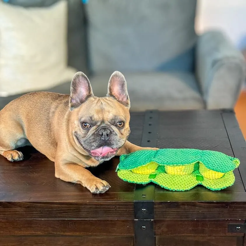 PEAPOD INTERACTIVE DOG TOY