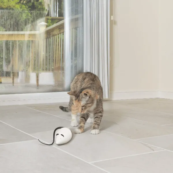 PetSafe RoloRat Automatic Cat Teaser Toy