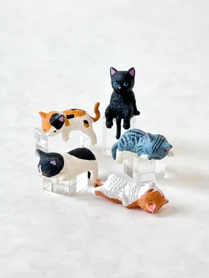 Resting Cats: Blind Box (Assorted)