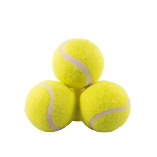 Rosewood Jolly Doggy Squeaky Tennis Balls 3 Pack