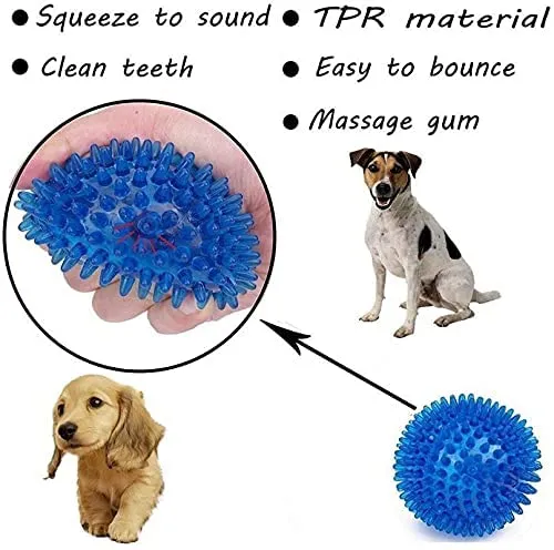 Solid Spike Ball Toy for Dogs