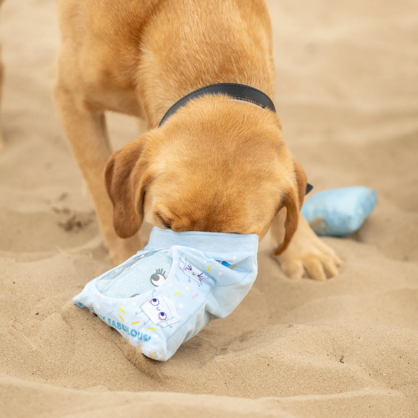 Summer Hide & Seek Dog Toy Ice Cubes/Fruit