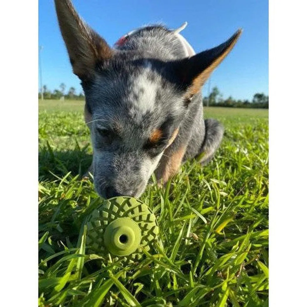 Tall Tails Natural Rubber Acorn Toy - 3"