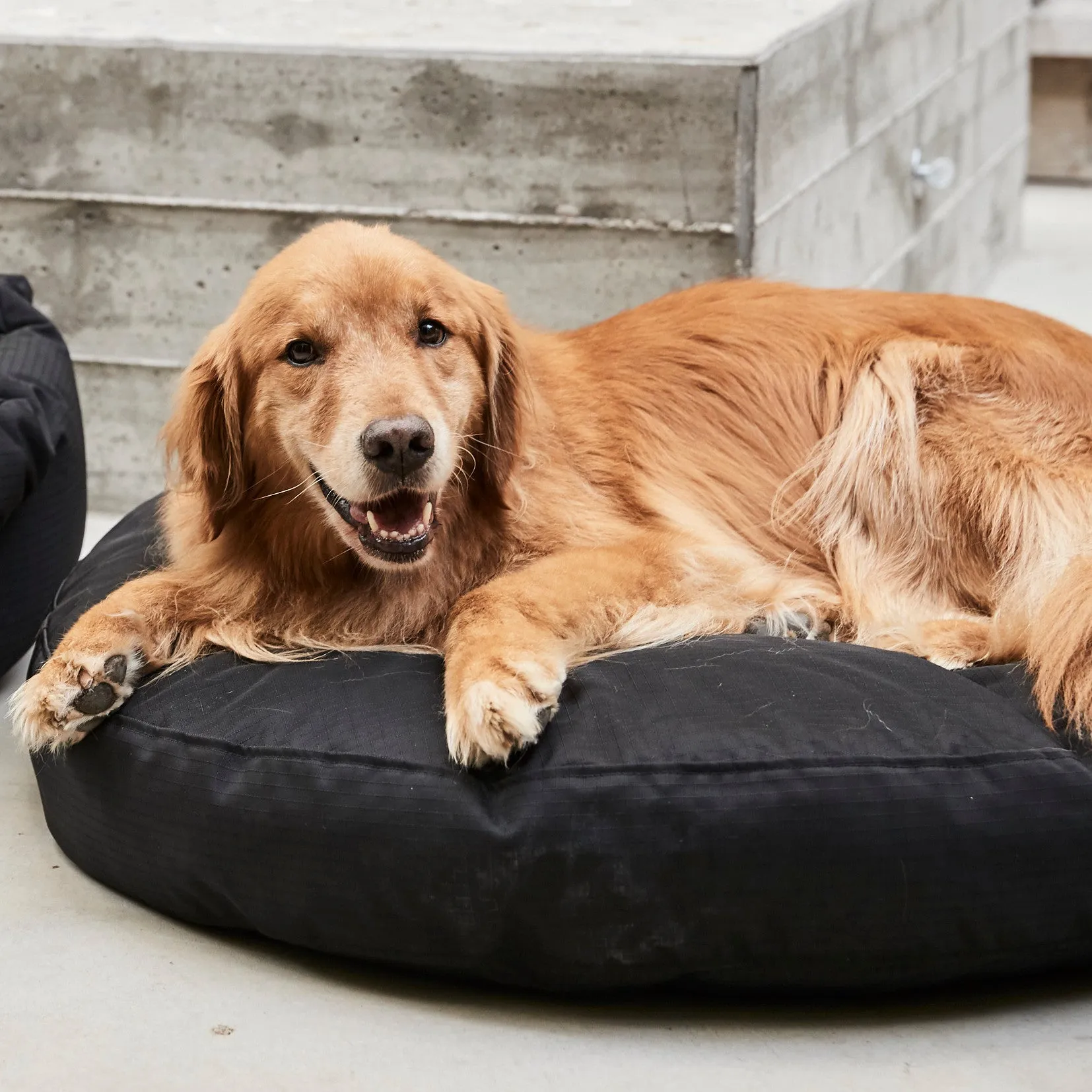 Tough Ripstop™ Round Pillow Dog Bed