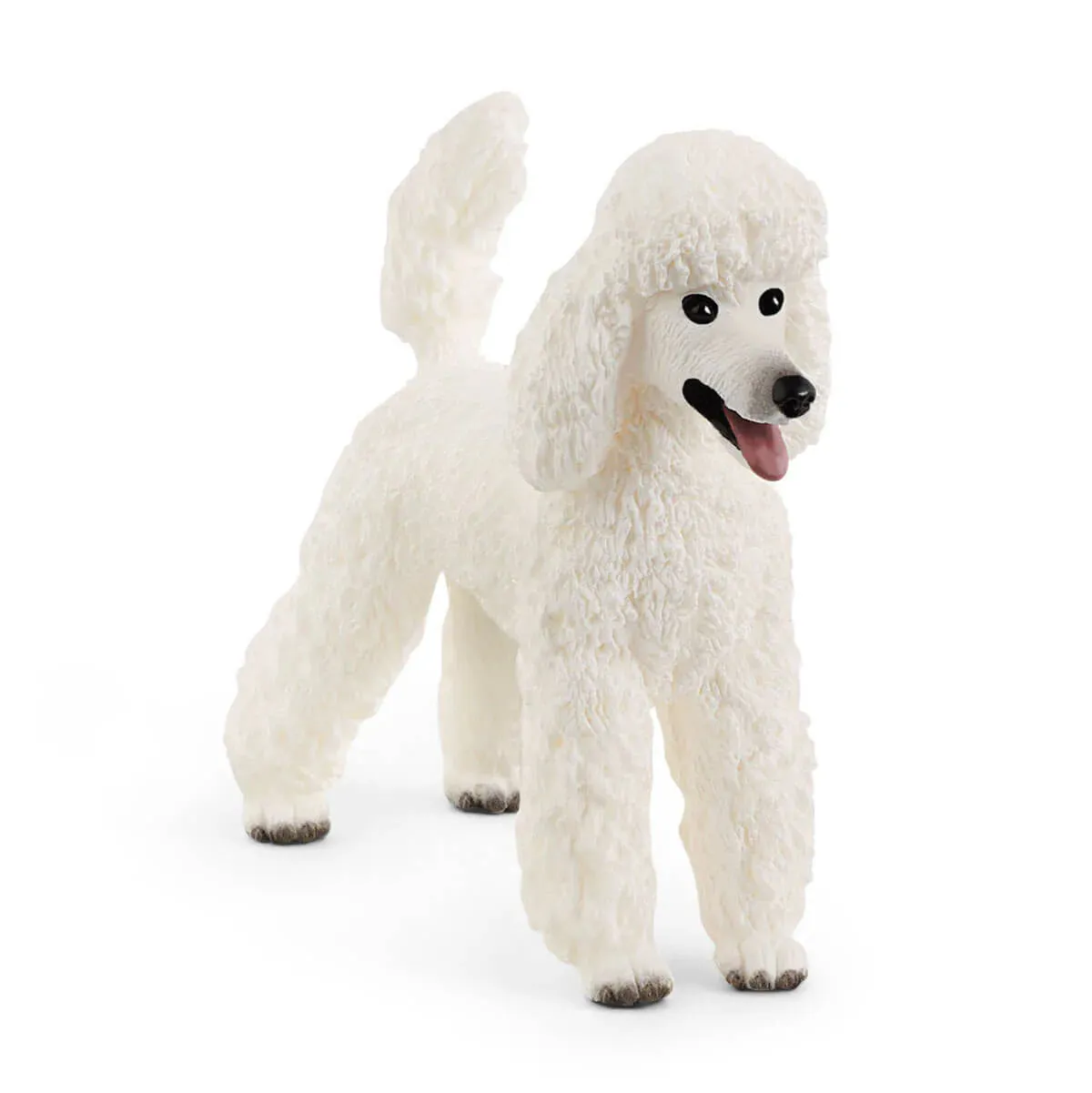 Toy | Poodle