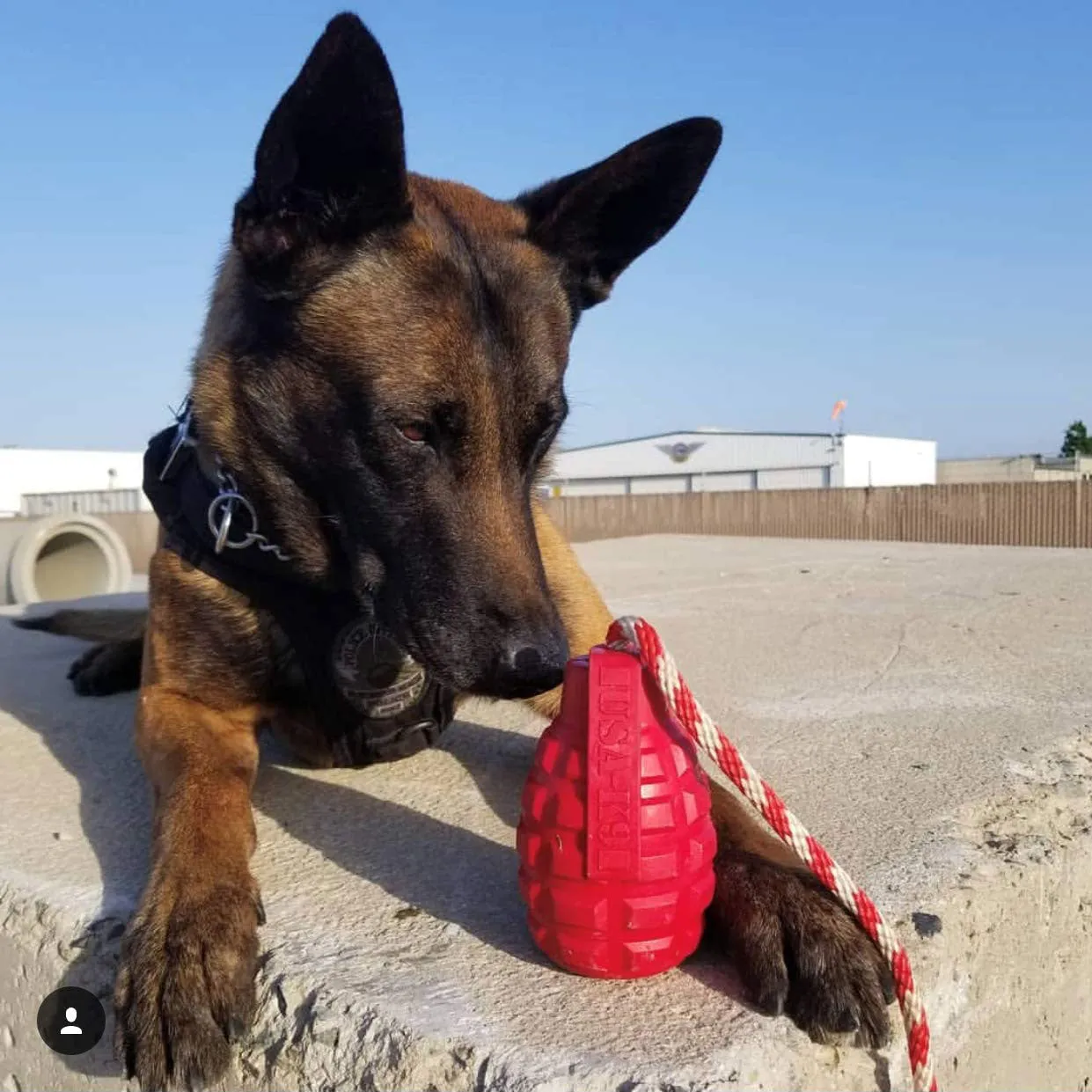 USA-K9 Grenade Chew